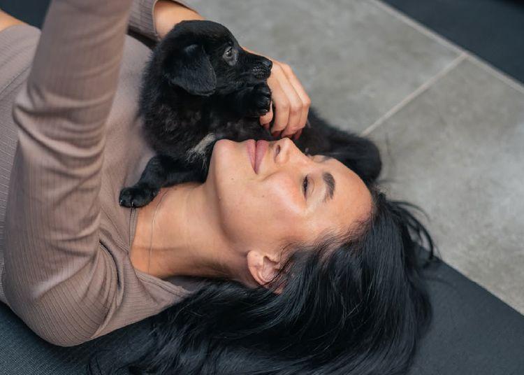 Portada de El secreto de la felicidad: yoga con perritos