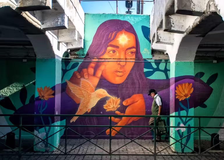 Portada de Arte urbano y fotografía: la mirada de Felipe Salinas